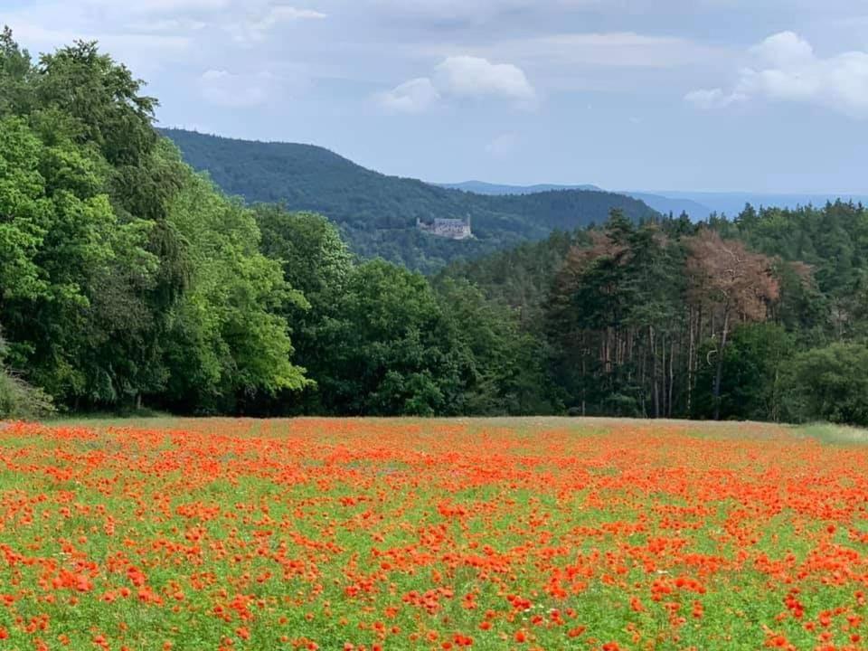 Bungalow Schwarzatalblick In Bad Blankenburg Ortsteil Boehlscheiben エクステリア 写真